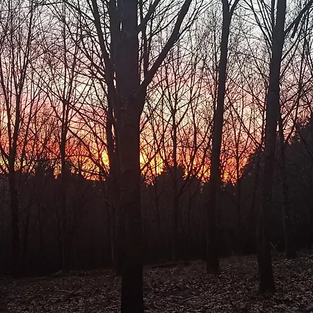 Casa Mandoia 旅馆 *