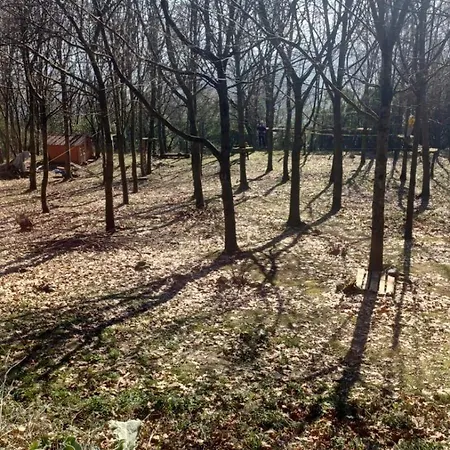 旅馆 Casa Mandoia *