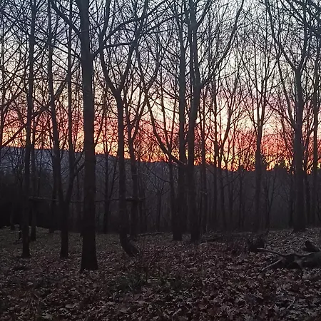 旅馆 Casa Mandoia *