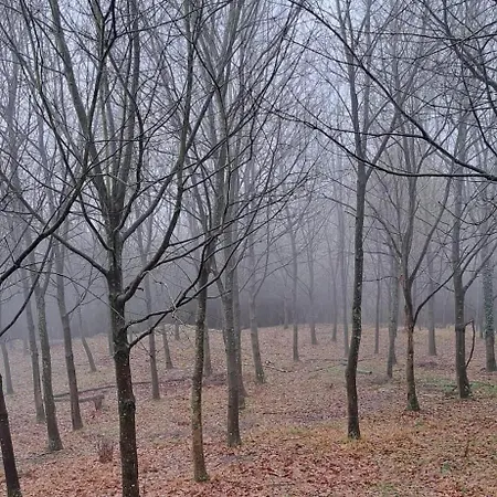 Casa Mandoia Vandrarhem