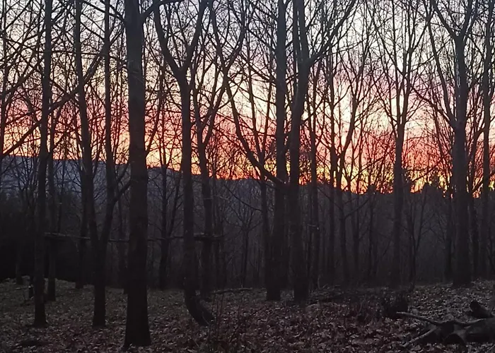 Hostel Casa Mandoia *